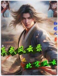 真武风云录之北宋风云