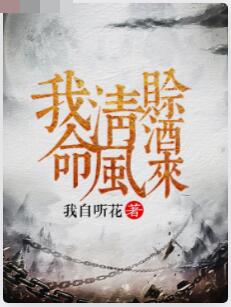 我命清风赊酒来