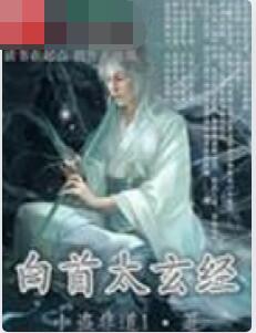 白首太玄经