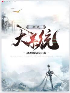 帝武大系统