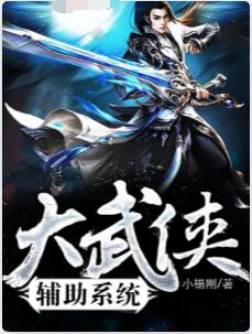 大武侠辅助系统