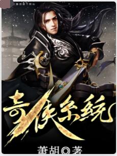奇侠系统