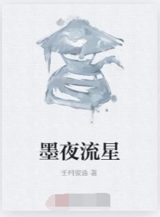 墨夜流星