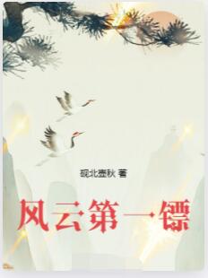 风云第一镖
