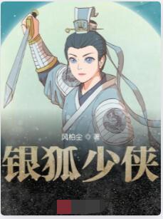银狐少侠