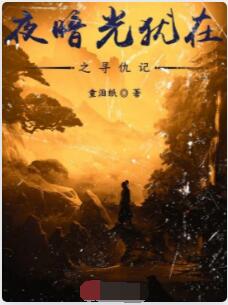 夜暗光犹在之寻仇记