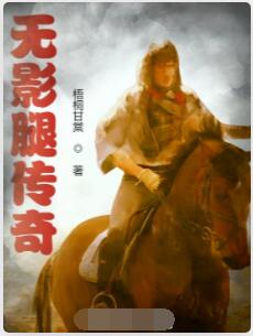 无影腿传奇