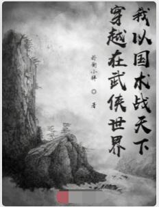 穿越在武侠世界：我以国术战天下