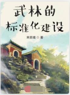 武林的标准化建设