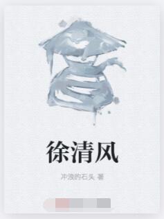 徐清风