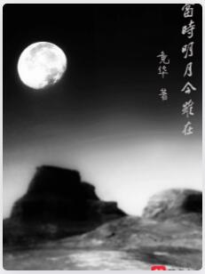当时明月今虽在