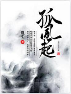 孤风起