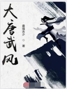 大唐武风