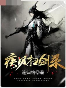 疾风扫剑录