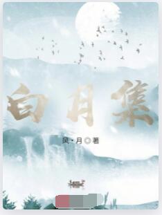白月集