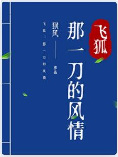 飞狐：那一刀的风情