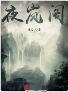 夜岚阁