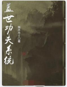 盖世功夫系统