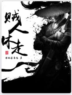 贼人休走