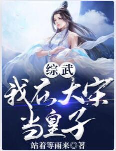 综武：我在大宋当皇子