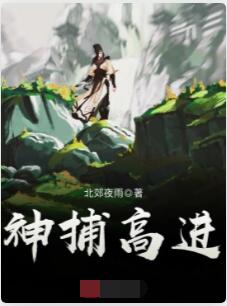 神捕高进