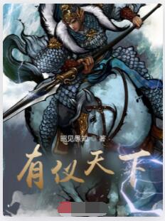 有仪天下