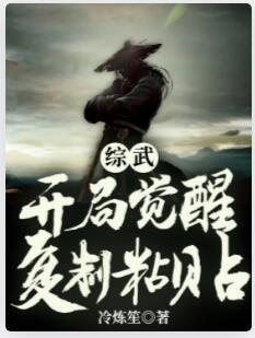 综武：开局觉醒复制粘贴