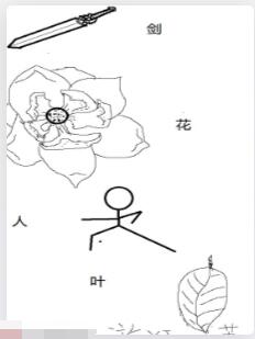 剑花人叶