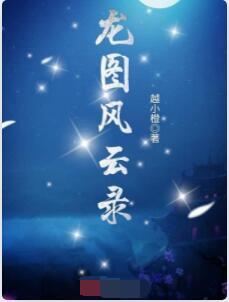 龙图风云录