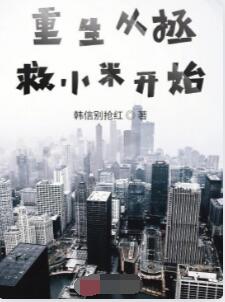 重生2008之搅动风云