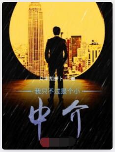 我只是个小中介