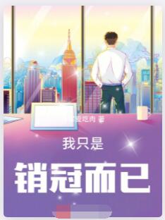 我只是销冠而已