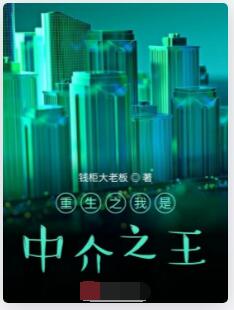 重生之我是中介之王