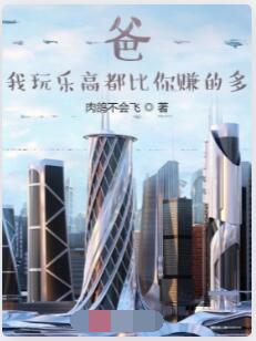 爸，我玩乐高都比你赚的多