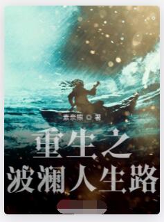 重生之波澜人生路