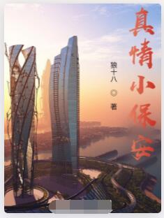 真情小保安
