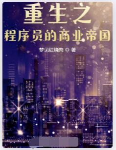 重生之程序员的商业帝国