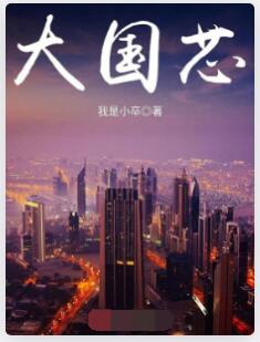 大国芯