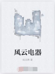 风云电器