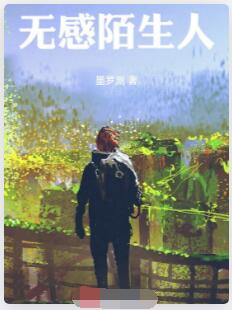 无感陌生人