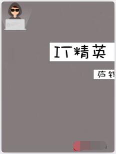 IT精英