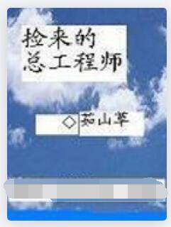 捡来的总工程师