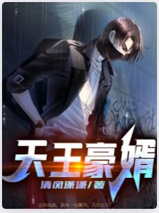 天王豪婿