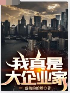 我真是大企业家