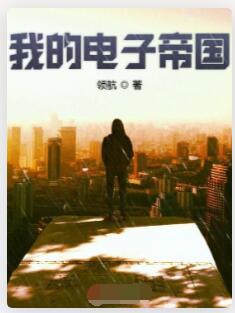 我的电子帝国