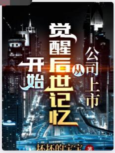 公司上市从觉醒后世记忆开始