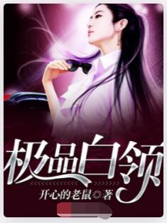 极品白领