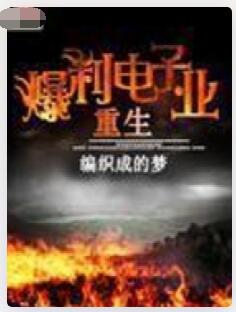 重生爆利电子业