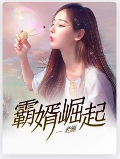 霸婿崛起