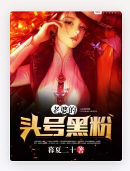老婆的头号黑粉